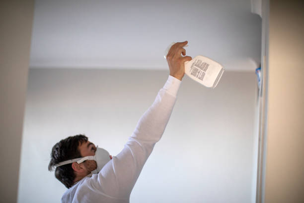 Best Health and Safety Mold Remediation in Sunbury, OH