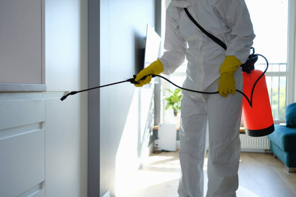 Best Bathroom Mold Remediation in Sunbury, OH